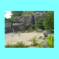 zoo 030.jpg